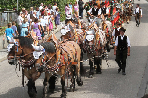 Barthelmarkt Gespann